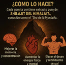 Gummies Shilajit - Fuerza, Libido y Enfoque en 1 Solo Producto